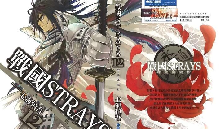 战国STRAYS 时空谜游抄
