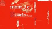 《MONTAGE三亿元事件奇谭》电子漫画全集下载