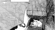 《她和她的猫》电子漫画全集下载