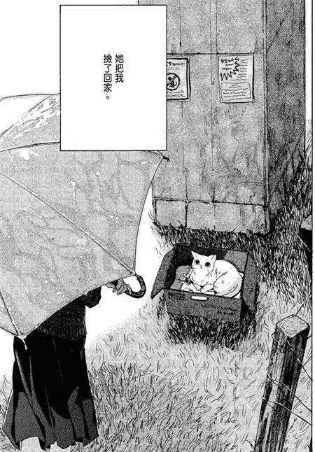 《她和她的猫》电子漫画全集下载