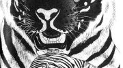 《白虎记》漫画全集下载