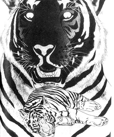 《白虎记》漫画全集下载 《白虎记》漫画全集下载