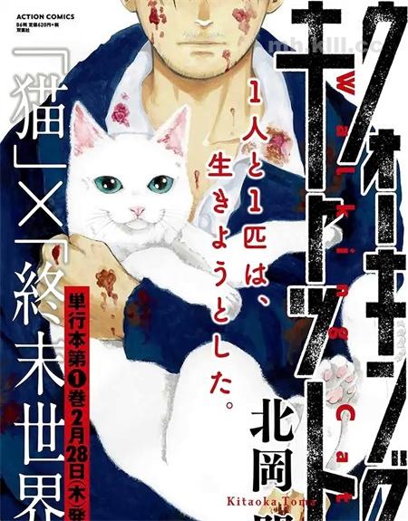 《与猫随行》漫画全集下载