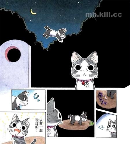 《甜甜私房猫》漫画全集下载 《甜甜私房猫》漫画全集下载